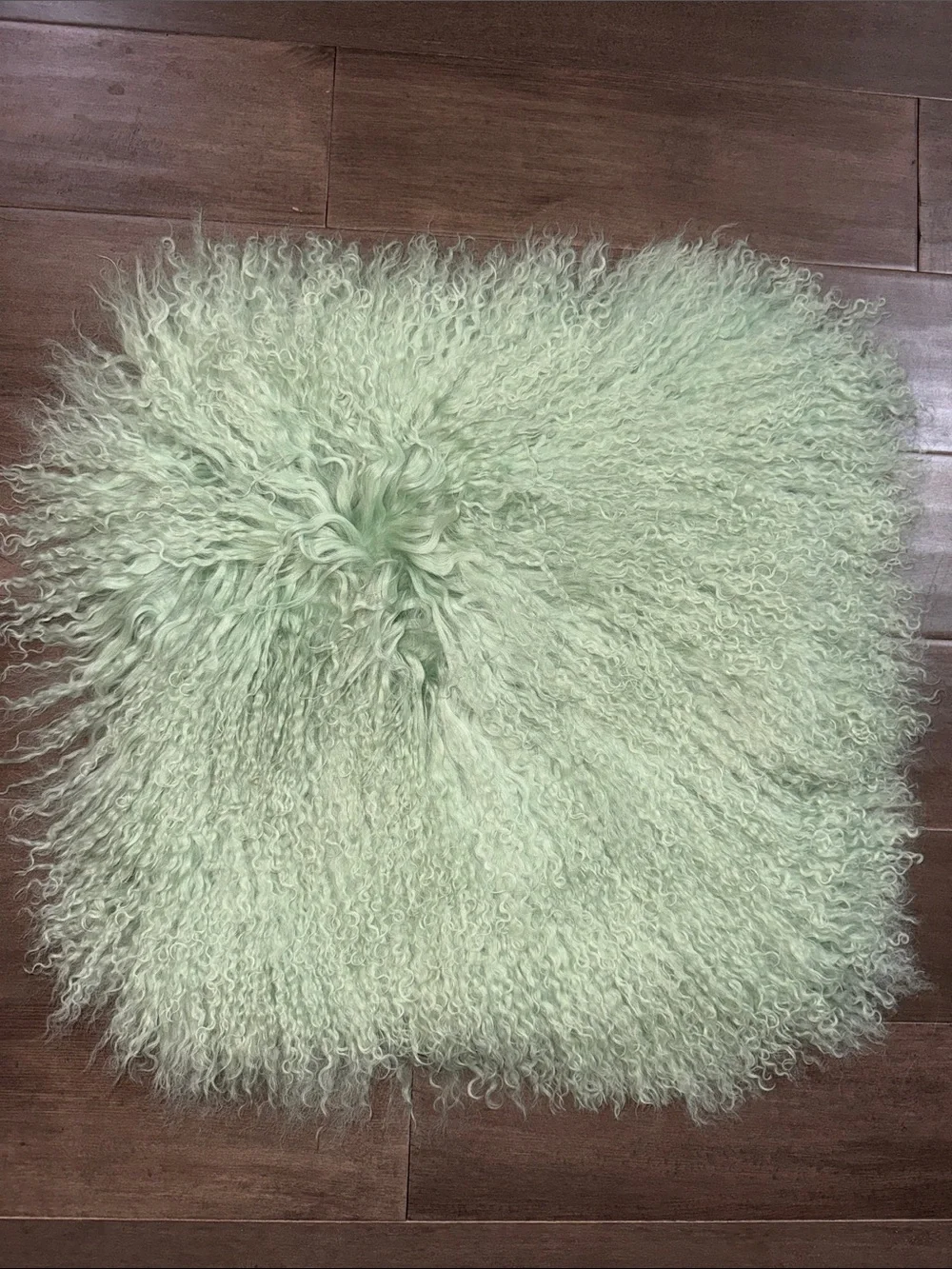 NWT Mint Green Mongolian Lamb Set of 2 16” Pillow Covers